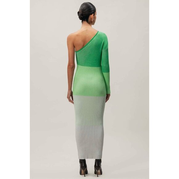 Baobab Leaves Knit One Shoulder Maxi Dress Pistachio Cream Womens Size XS